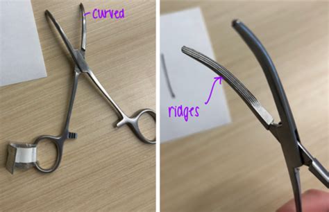 Surgical Instruments Practical Flashcards Quizlet