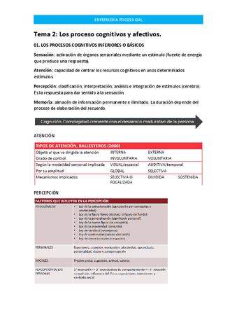 Psicosocial T10 Pdf