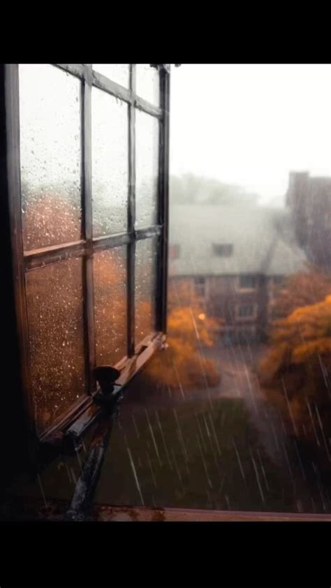 Just Another Fall Lover On Instagram Do You Love Rainy Autumn Days