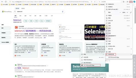 Selenium Csdn