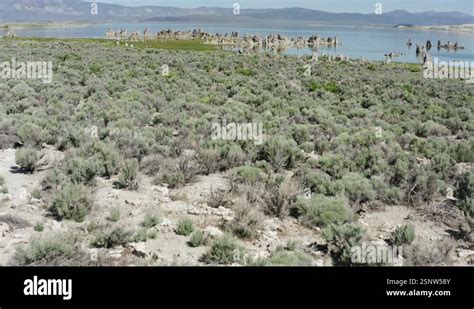 Flight Over Mono Lake Slope With Tufa Pinnacles California Stock Video