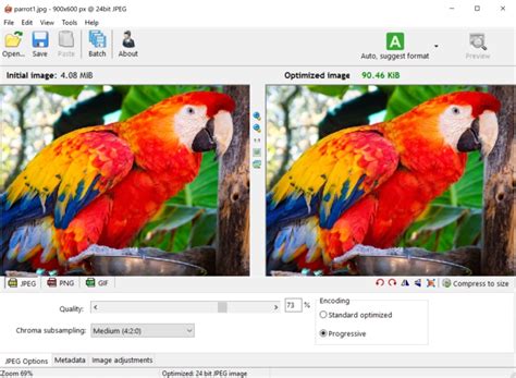 RIOT 2024 1 Image Editing Software