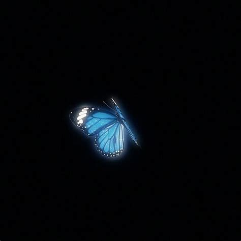 Blue Butterfly Flying In The Dark Sky