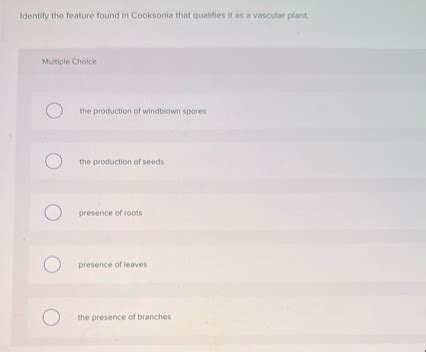 Solved Identify The Feature Found In Cooksonia That Chegg