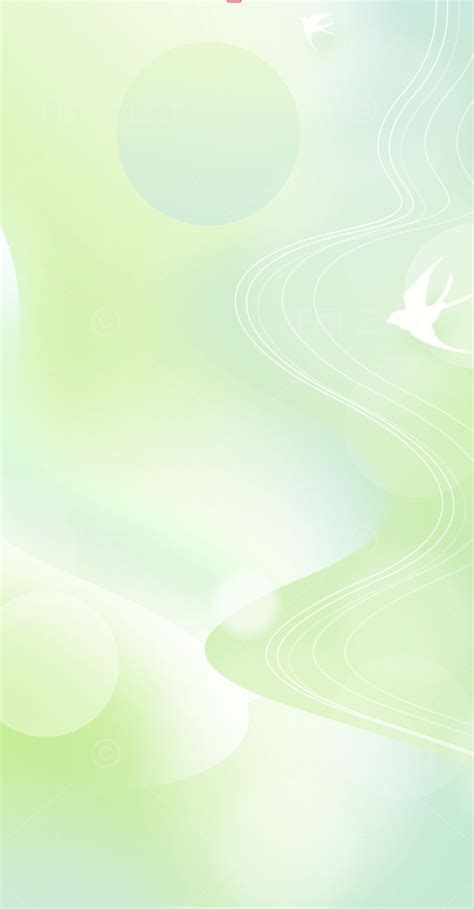 Abstract Green Background With Swirls And Birds