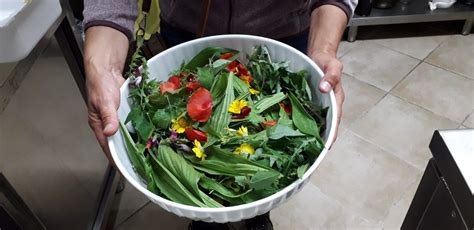 Secondo Appuntamento Con L Herbaria All Osteria Del Tempo Stretto Un