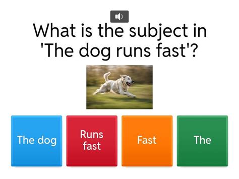 Choose the Correct Sentence - Kuis