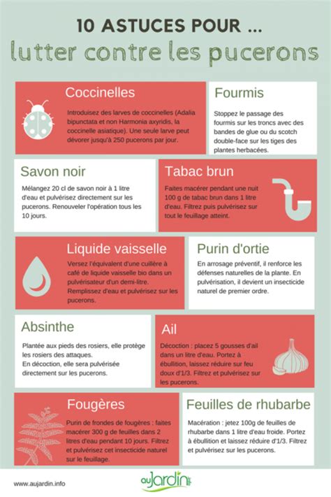 10 Astuces Naturelles Pour Lutter Contre Les Pucerons Envie De Jardin