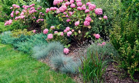 The Ultimate Guide To Low Maintenance Landscaping