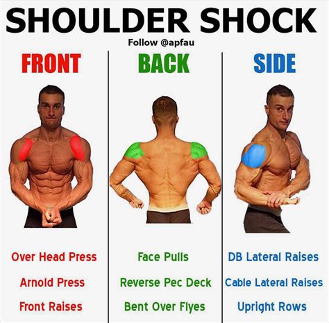 Pin By Craig Lovell On Charts Shoulder Workout Gym Workout Tips Fun