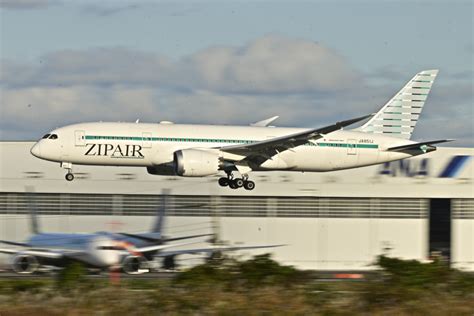 ジップエア Boeing 787 8 Dreamliner JA851J 成田国際空港 航空フォト by パンダさん 撮影2024年11月19日