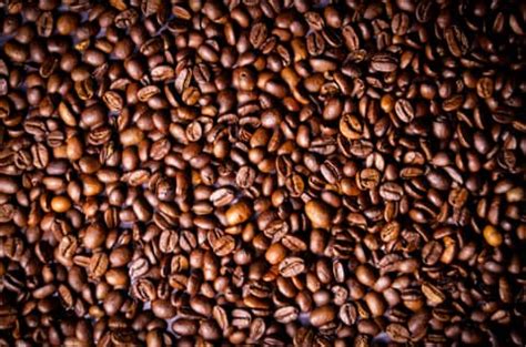 coffee consumption    earnings reports reveal