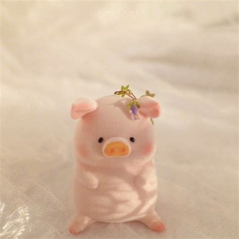 Pin By Ania On Cute Things I Love And Hacks For School Cute Baby Pigs