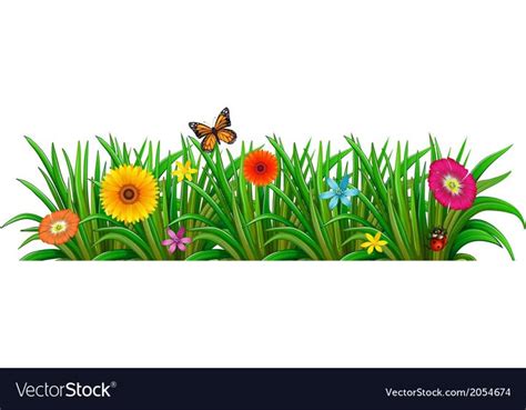 A Garden With Fresh Blooming Flowers Butterfly Vector Image On