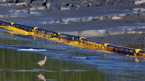 Effective Methods For Cleaning Up Oil Spills Mytour