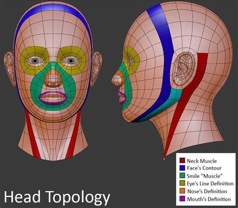 Topología de rostro Face topology Topology Character modeling