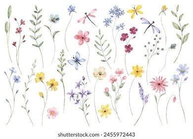 Floral Watercolor Over Royalty Free Licensable Stock