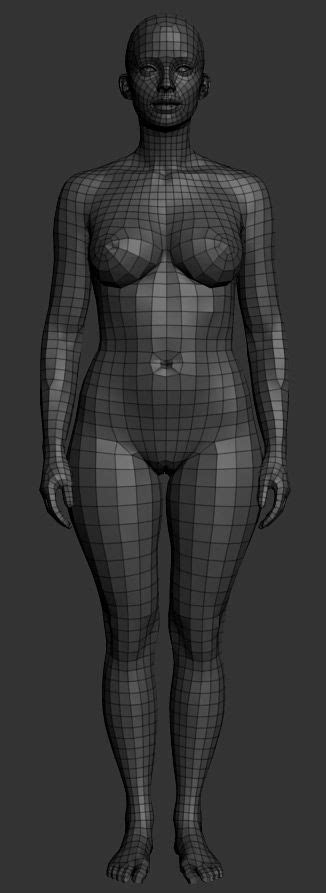 Full Body Topology Reference Zbrush Character Modeling Digital