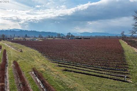 163 Acres Of Agricultural Land For Sale In Clatskanie Oregon LandSearch