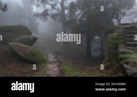 Misty Woodland Enveloping Moss Covered Stone Stairs Dense Fog Creating