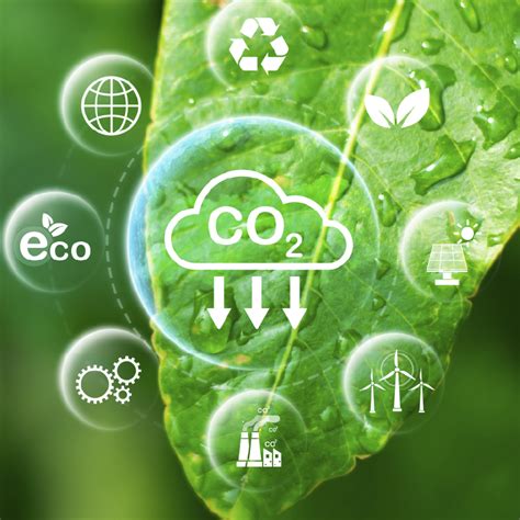 Sustainable Development Policy - Phol Dhanya