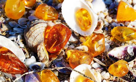 Big theo erome she is a super-HOT Latina beauty, with