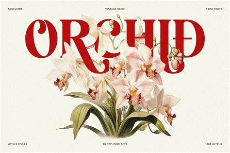 Serelemo Vintage Serif Font Vintage Fonts Graphic Design Fun