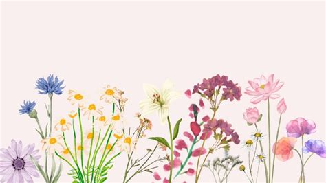 Flowers Desktop Wallpaper Aesthetic Wallpaper Fond D Ecran Pastel