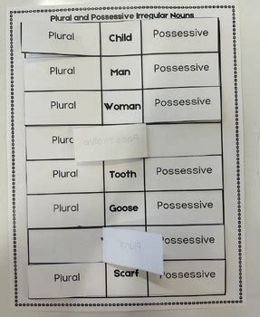 Plural And Possessive Irregular Nouns Interactive Notebook Flip Book