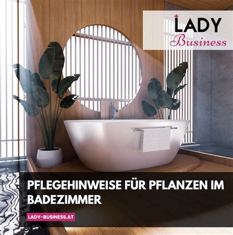 Pflanzen für das Badezimmer Tipps Tricks