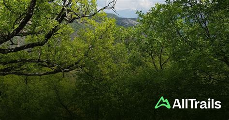 Chapelle Notre Dame de Lourdes les meilleures randonnées AllTrails