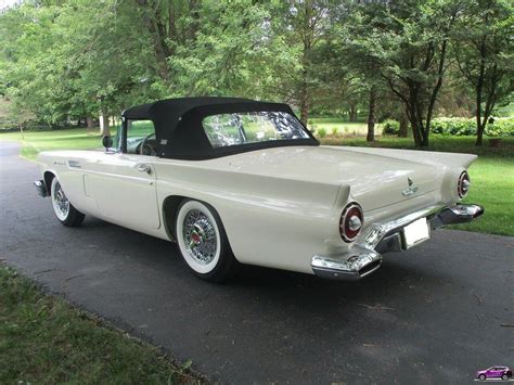 Ford Thunderbird Stock