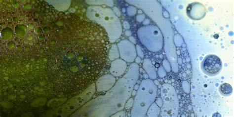 Natalie hanby naked leaked isabella is a stunning Italian