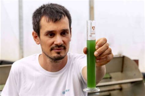 Blauver Presenta Su Espirulina Fresca Como Un Producto Clave En La