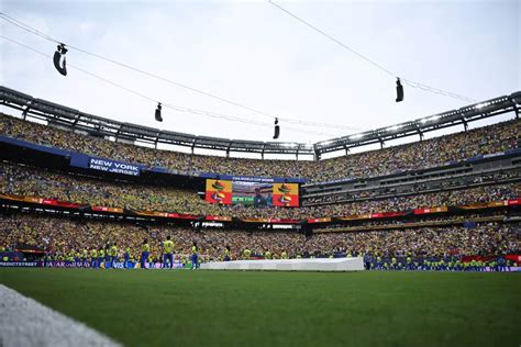 fifa  sell pieces  turf  world cup final