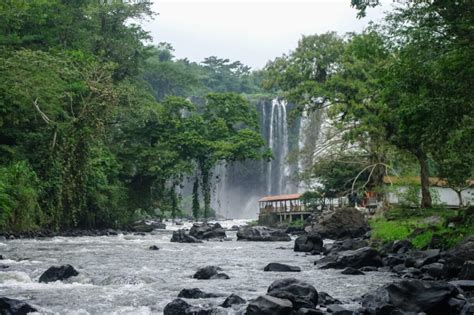 Un Viaje Inolvidable A Los Tuxtlas Biodiversidad Cultura Y Sabores