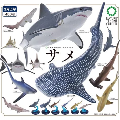 Ikimon Gashapon Capsule Toy Marine Sharks Fish Model Miniature Doll