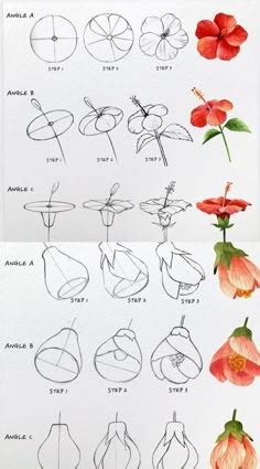 26 Flower Drawing Tutorials Ideas Flower Drawing Tutorials Flower