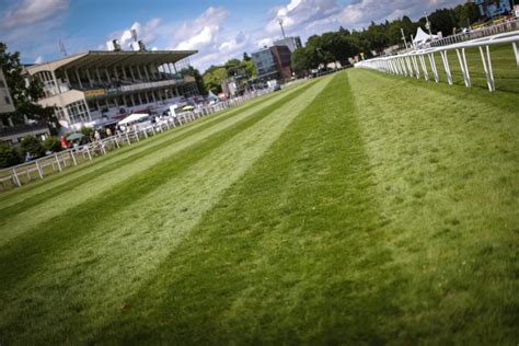 Leaked sexx videos i moved back up for more lip action