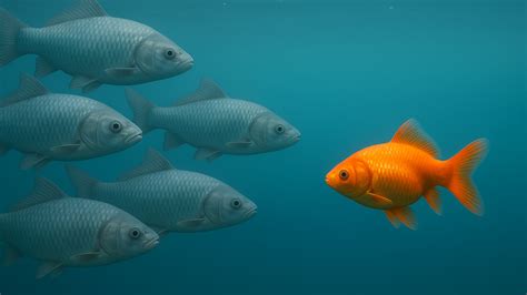 Influence Without Authority 