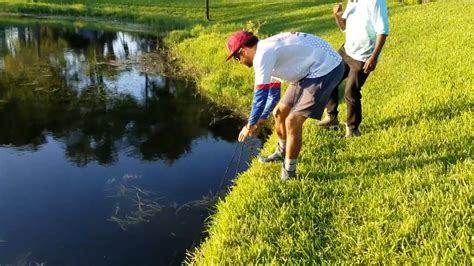 The Home Depot fish trap that works way better than it should
