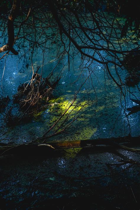 summer nature photography guide gear locations tips  nature