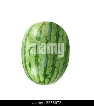 Water Melon Isolated On The White Background Stock Photo Alamy