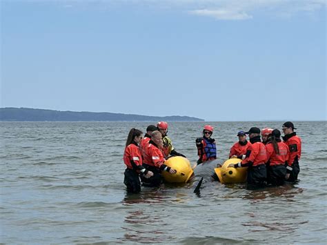 Erome hopeysoapy vIPs keep this in mind but please plan