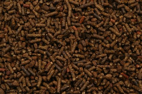 When Should I Feed a Complete Horse Feed?