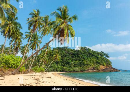 Beautiful Beach With Coconut Palm Stock Photo Alamy