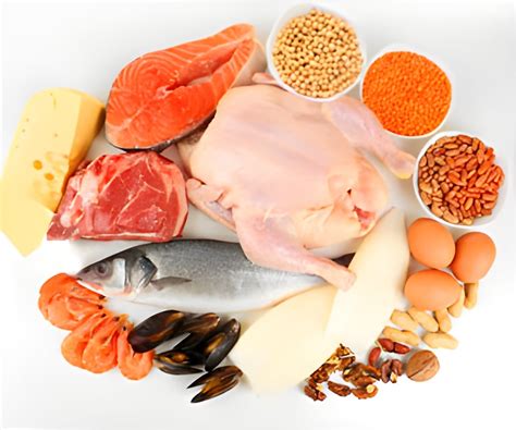 erling haalands  calorie diet boost football performance