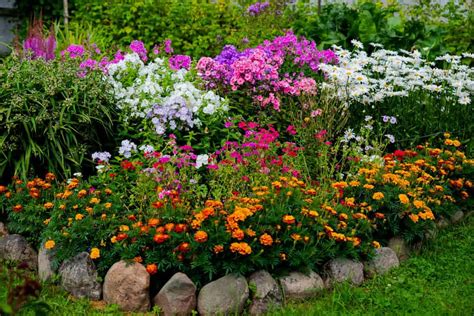 9 Simple Landscaping Ideas That Add Instant Curb Appeal