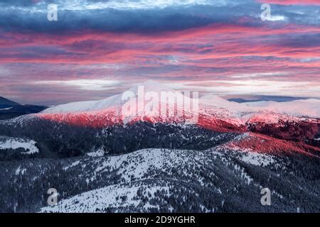 Christmas Background With Snowy Pine Forest Stock Photo Alamy