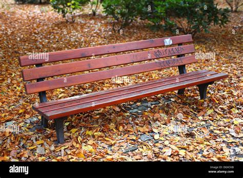 Lonely Park Bench In Fallen Autumn Leaves Stock Photo Alamy